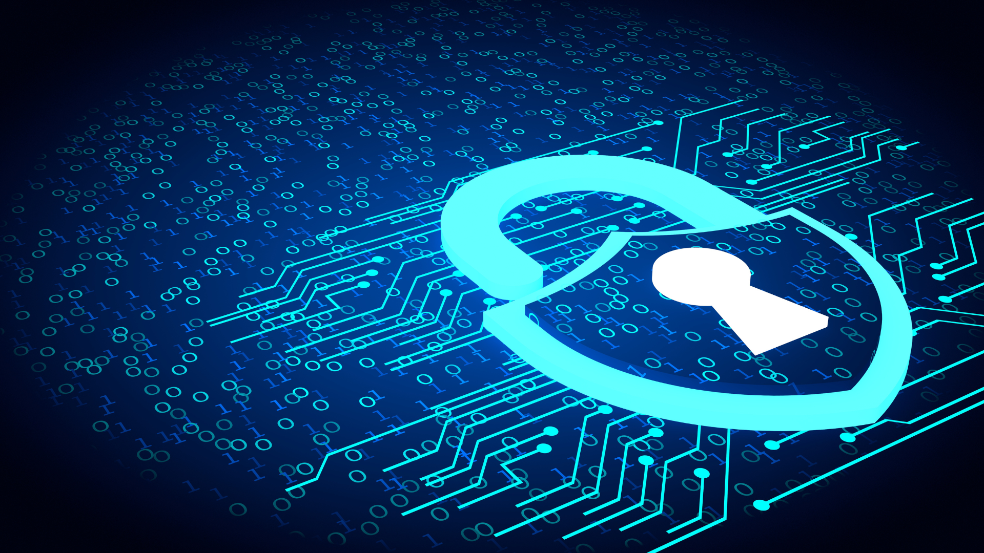 Data Privacy Framework